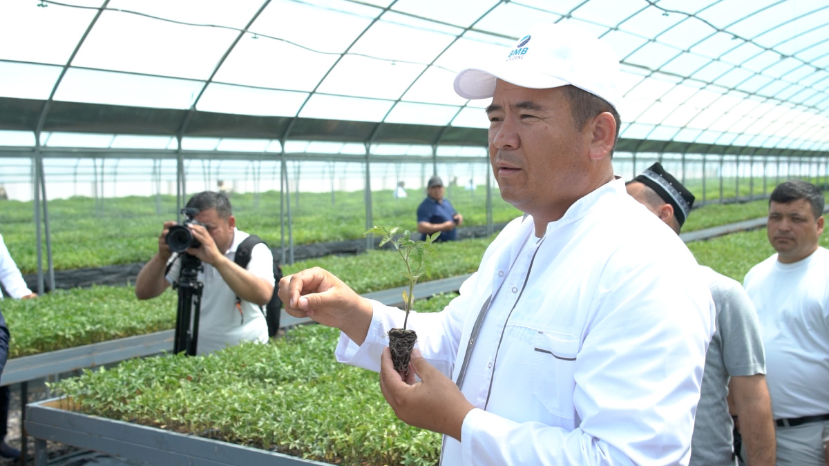 «BMB AGRO PLUS»: основа для инвестиций, инноваций и социального устойчивого развития