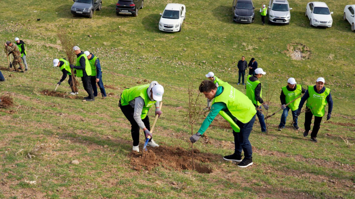 Узпромстройбанк продолжает работы по расширению зеленых площадей